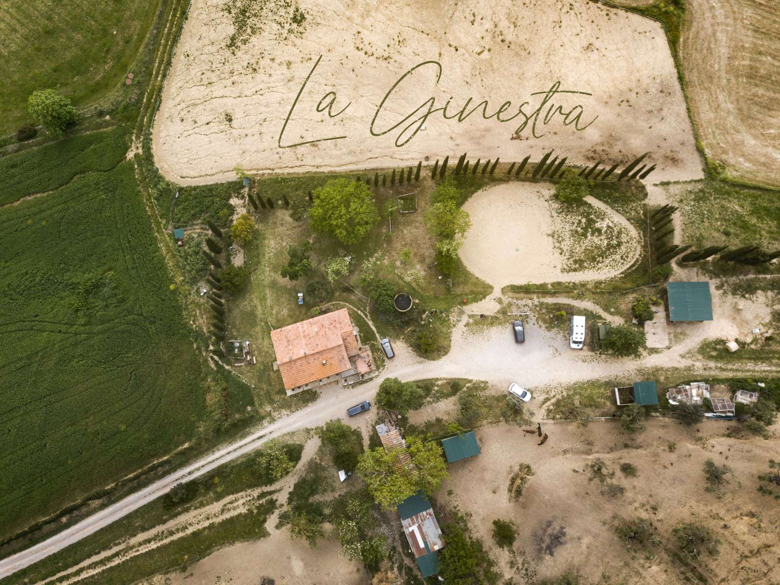 Centro-Ippico-La-ginestra-Andrea-Fabbreschi