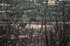 dsc01769-1.jpg